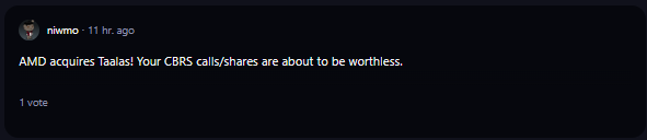 A comment on r/WallStreetBets subreddit.